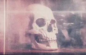 Human skull in profile displayed behind glass in pink light