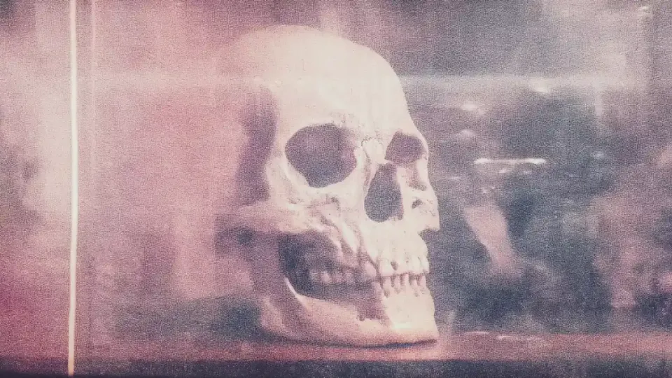 Human skull in profile displayed behind glass in pink light