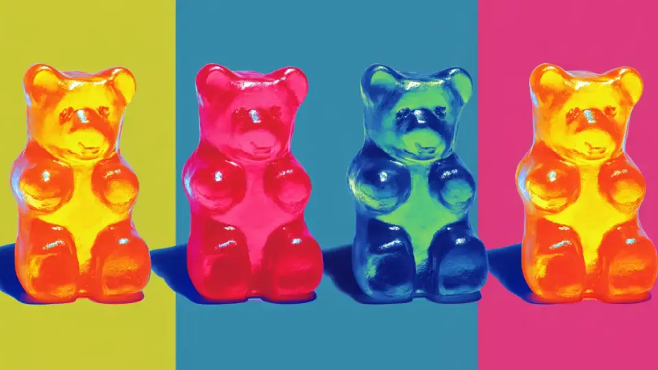 Four glossy gummy bears in orange, red, blue and yellow