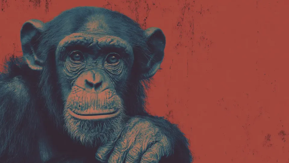 These Famous Chimps Became Millionaires, Artists, Astronauts, & More